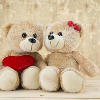 Bear couples wallpaper