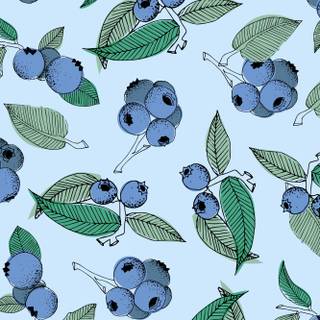 Cute blueberry wallpaper