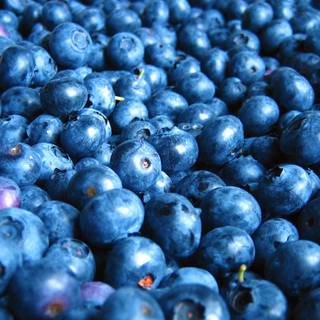 Cute blueberry wallpaper