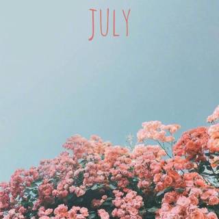 Pink July wallpaper