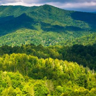 Spring mountains iPhone wallpaper