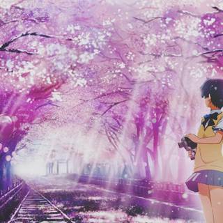 Manga spring wallpaper