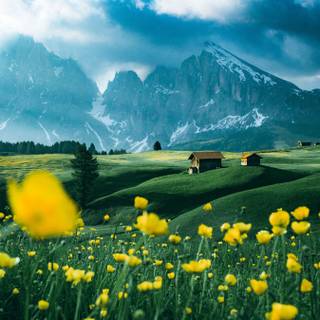 Spring mountains iPhone wallpaper