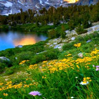 Spring mountains iPhone wallpaper