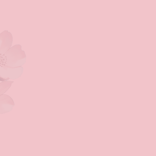 Spring minimalist desktop wallpaper