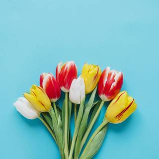 Spring minimalist desktop wallpaper