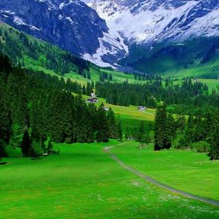 Spring mountains iPhone wallpaper