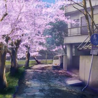 Manga spring wallpaper