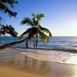 Beach country wallpaper