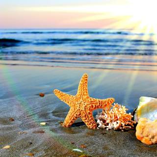 Beach country wallpaper