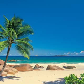 Beach country wallpaper