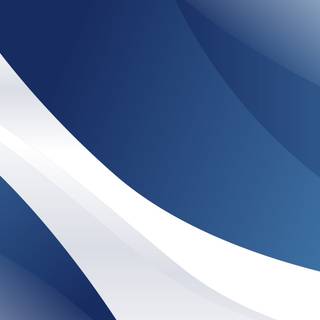 Navy blue and white wallpaper