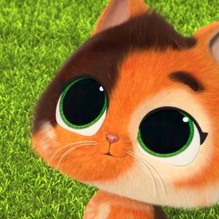 SuperKitties wallpaper