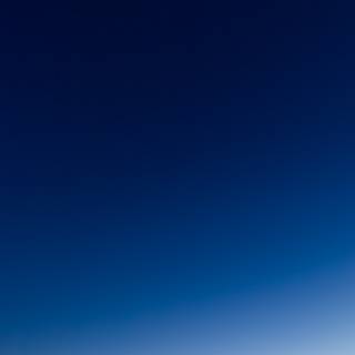 Navy blue and white wallpaper