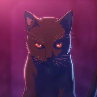 Black and pink anime wallpaper