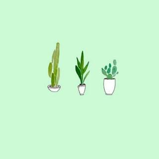 Aesthetic mint green wallpaper