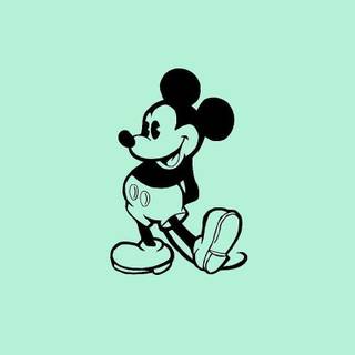 Aesthetic mint green wallpaper