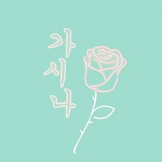 Aesthetic mint green wallpaper