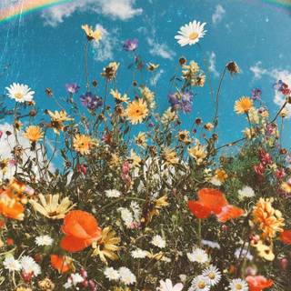 Spring time aesthetic wallpaper