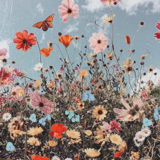 Spring time aesthetic wallpaper