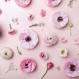 Spring time aesthetic wallpaper