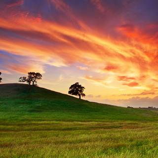 Spring sunsets laptop wallpaper