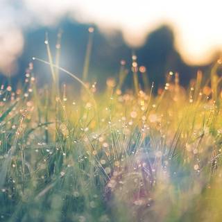 Spring sunsets laptop wallpaper