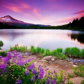 Spring sunsets laptop wallpaper