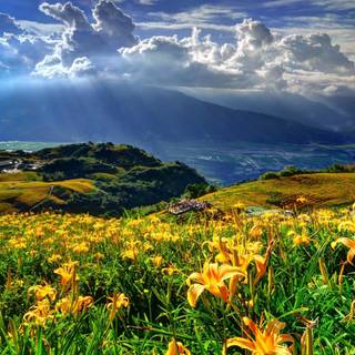 Spring clouds wallpaper