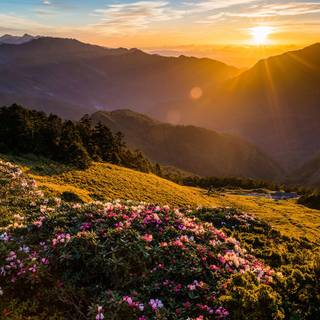 Spring sunsets laptop wallpaper