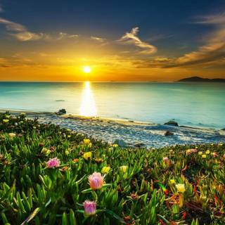 Spring sunsets laptop wallpaper
