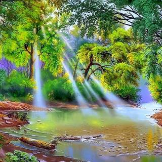 River spring sun wallpaper