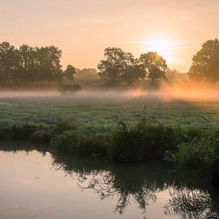 River spring sun wallpaper