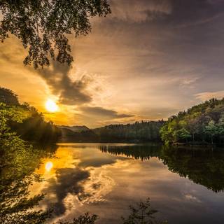 River spring sun wallpaper