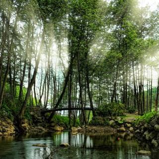 River spring sun wallpaper