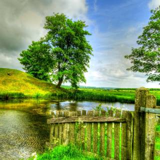 Summer fences wallpaper