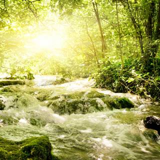 River spring sun wallpaper