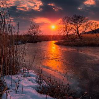 River spring sun wallpaper