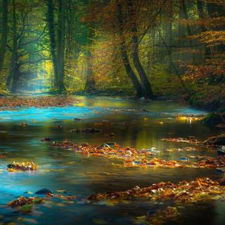 River spring sun wallpaper