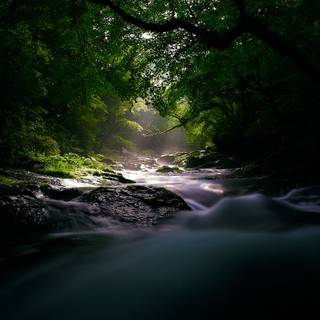 River spring sun wallpaper