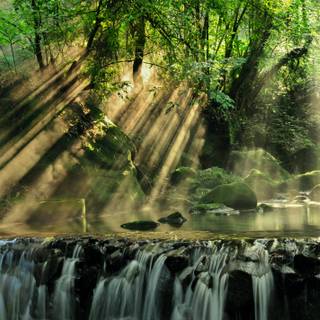 River spring sun wallpaper
