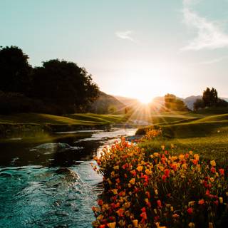 River spring sun wallpaper