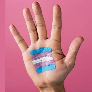 Genderfluid and demigirl wallpaper