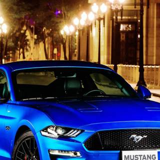 Mustang blue wallpaper