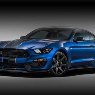 Mustang blue wallpaper