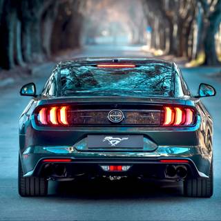 Mustang blue wallpaper