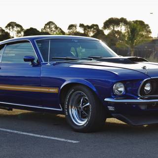 Mustang blue wallpaper