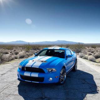 Mustang blue wallpaper