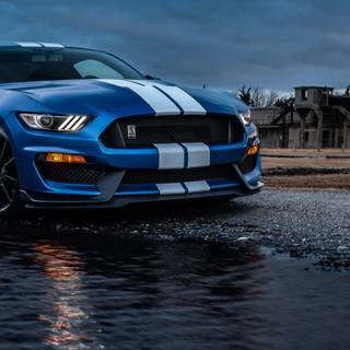 Mustang blue wallpaper
