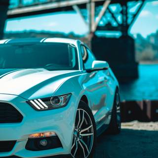 Mustang blue wallpaper
